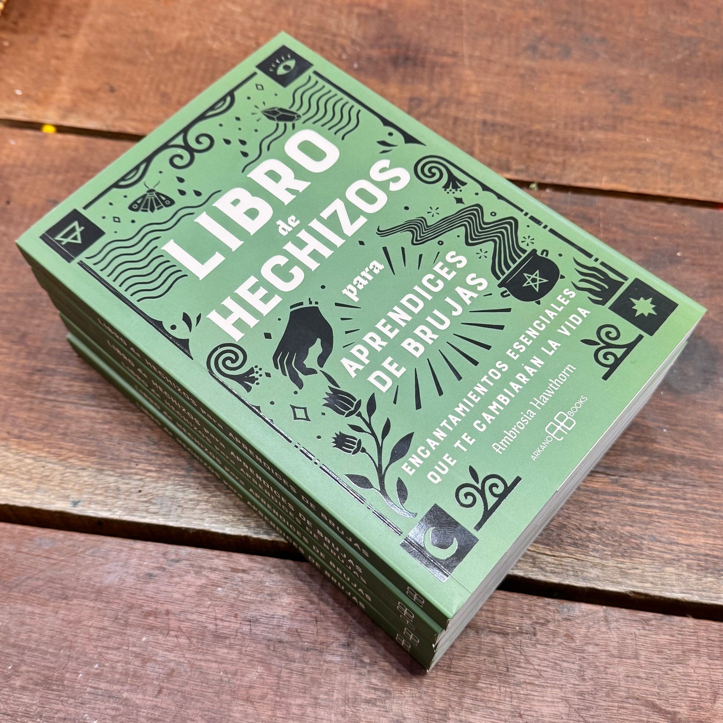 Libro de hechizos para aprendices de brujas