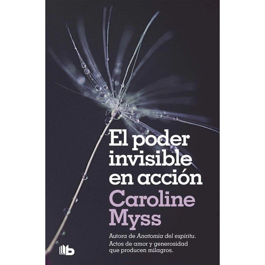 El poder invisible en acción - Caroline Myss