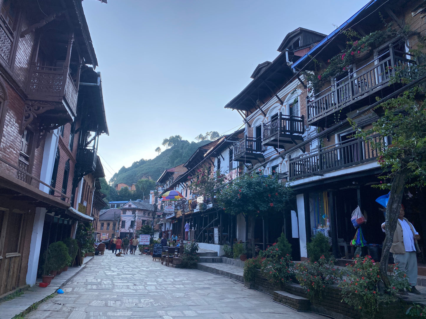 Cuencolabro Bandipur