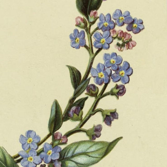 Vela ritual Yule Solsticio de Invierno 2025