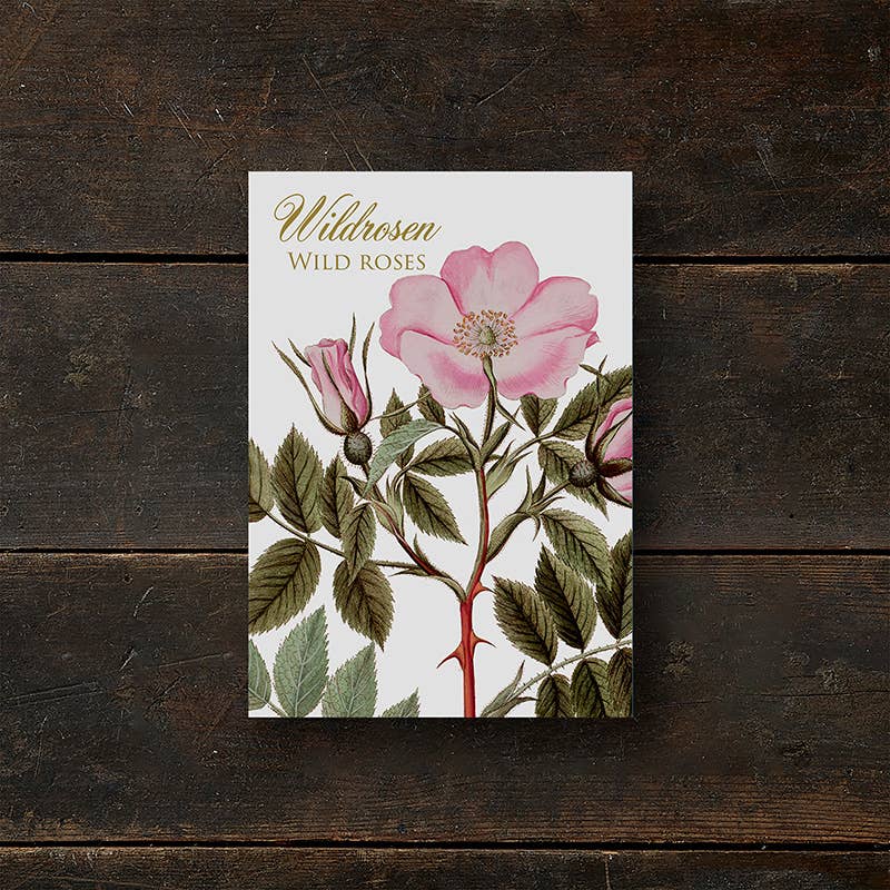 Carpeta de tarjetas Wildrosen - 8 tarjetas con sobres (alemán)