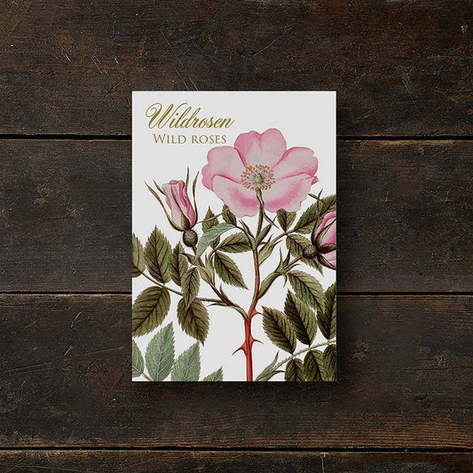 Carpeta de tarjetas Wildrosen - 8 tarjetas con sobres (alemán)
