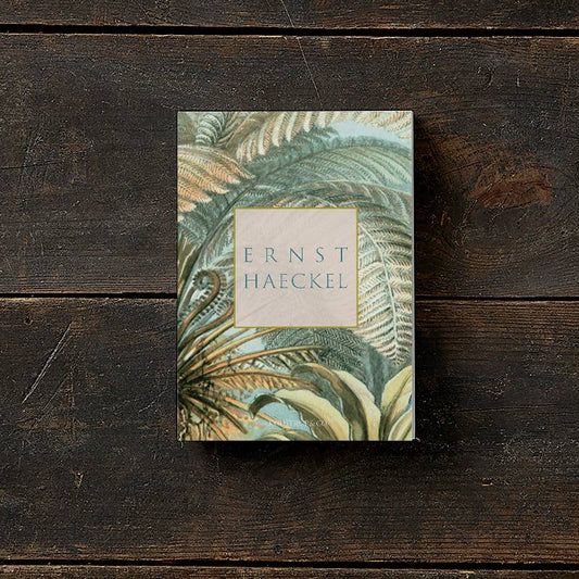Carpeta de tarjetas de Ernst Haeckel con 8 tarjetas y sobres