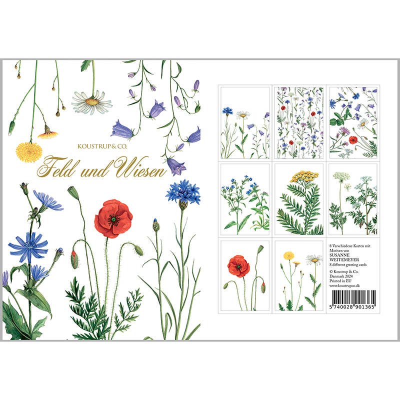 Carpeta de tarjetas Feld & Wiese - 8 tarjetas con sobres (alemán)