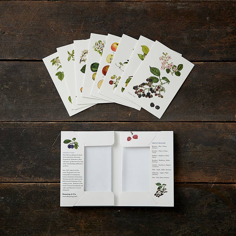 Tarjetero frutas y bayas 8 tarjetas e/sobres