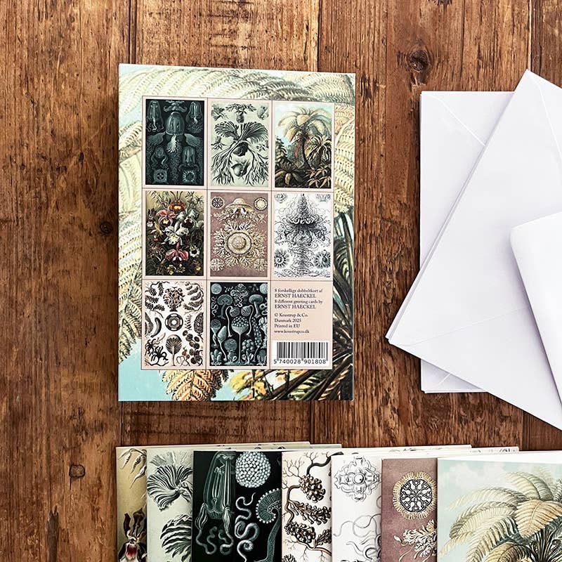 Carpeta de tarjetas de Ernst Haeckel con 8 tarjetas y sobres