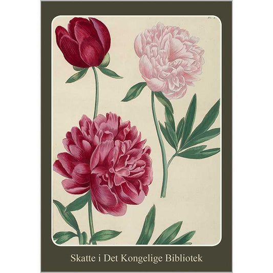 Joyful Spring: 8 tarjetas con sobres hechos en Europa