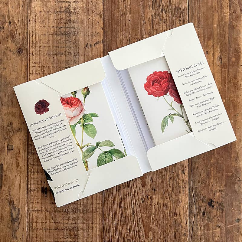 Carpeta de tarjetas Rosas Históricas 8 tarjetas con 8 sobres